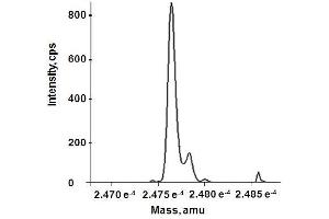 Reconstructed molecular weight from MS