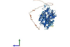 AlphaFold protein structure predicition of Mouse Recombinant Pomt2 Protein, UniprotID Q8BGQ4 (POMT2 Protein (AA 1-820) (His tag))