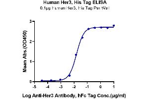 ELISA image for Receptor Tyrosine-Protein Kinase ErbB-3 (ERBB3) (AA 20-643) protein (His-Avi Tag) (ABIN7274801)