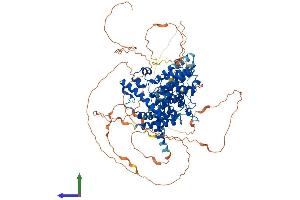 Protein Structure (PS) image for phosphodiesterase 4A, CAMP-Specific (PDE4A) (AA 1-844) protein (His tag) (ABIN7562708)