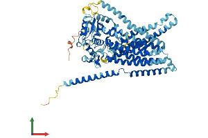 AlphaFold protein structure predicition of Human Recombinant ANO10 Protein, UniprotID Q9NW15