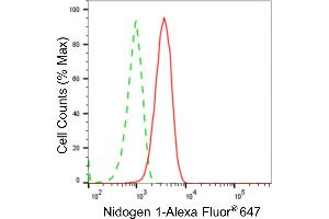 Flow cytometric analysis of Nidogen 1 expression in C2C12 cells using Nidogen 1 antibody (ABIN7799597), 1:2,000). (Recombinant Nidogen 1 antibody)