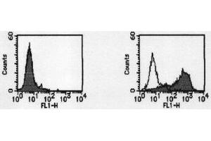 Flow Cytometry (FACS) image for anti-CD274 (PD-L1) antibody (ABIN1449173) (PD-L1 antibody)