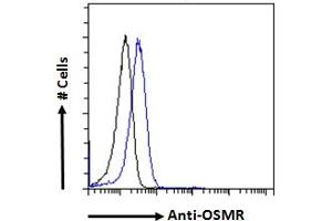 ABIN5539567 Flow cytometric analysis of paraformaldehyde fixed HeLa cells (blue line), permeabilized with 0. (Oncostatin M Receptor antibody  (Internal Region))