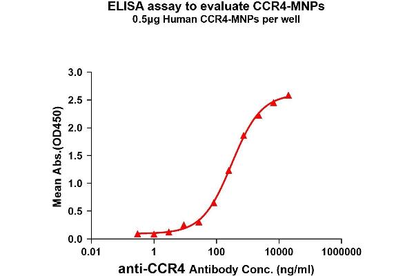 CCR4 Protein