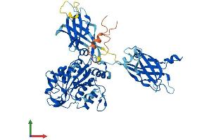 Protein Structure (PS) image for Copine IV (CPNE4) (AA 1-557) protein (His tag) (ABIN7546719)
