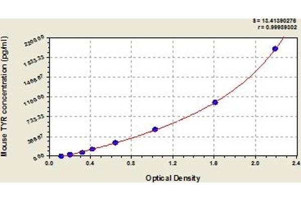 TYR ELISA Kit