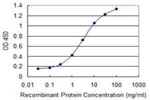 Detection limit for recombinant GST tagged CPA4 is 0. (CPA4 antibody  (AA 260-361))