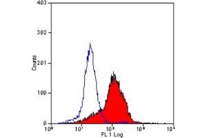 Staining of mouse peripheral blood lymphocytes with RAT ANTI MOUSE CD147 (ABIN119971). (CD147 antibody)