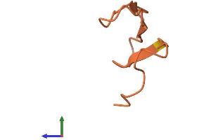 AlphaFold protein structure predicition of Human Recombinant KRTAP20-3 Protein, UniprotID Q3LI60 (KRTAP20-3 Protein (AA 1-44) (Fc Tag))