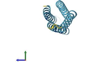 AlphaFold protein structure predicition of Mouse Recombinant Tmem80 Protein, UniprotID Q9D3H0 (TMEM80 Protein (AA 1-123) (His tag))