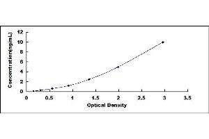 Typical standard curve (KLF5 ELISA Kit)