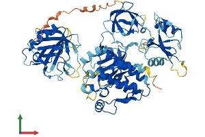 Protein Structure (PS) image for Nuclear Receptor Subfamily 4, Group A, Member 3 (NR4A3) (AA 1-631) protein (His tag) (ABIN7555738)