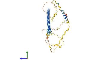 AlphaFold protein structure predicition of Mouse Recombinant Atf5 Protein, UniprotID O70191 (ATF5 Protein (AA 1-283) (His tag))