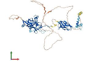 Protein Structure (PS) image for Early B-Cell Factor 1 (EBF1) (AA 1-591) protein (His tag) (ABIN7546704)