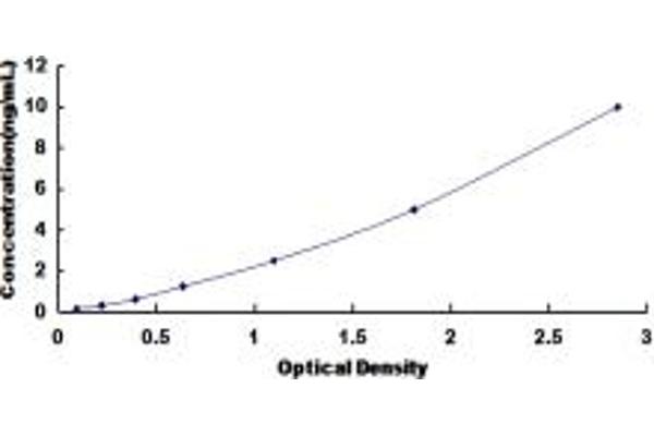 DPEP2 ELISA Kit