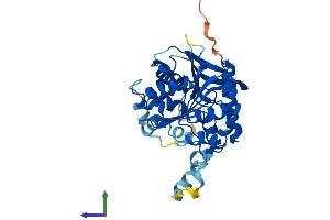 AlphaFold protein structure predicition of Mouse Recombinant Abhd5 Protein, UniprotID Q9DBL9