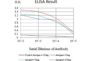 Black line: Control Antigen (100 ng),Purple line: Antigen (10 ng), Blue line: Antigen (50 ng), Red line:Antigen (100 ng) (Smooth Muscle Actin antibody  (AA 2-124))