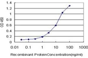 Detection limit for recombinant GST tagged BLK is approximately 1ng/ml as a capture antibody. (BLK antibody  (AA 1-505))