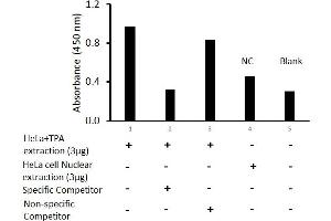 FOSL2 ELISA Kit