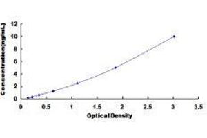 IgG3 ELISA Kit
