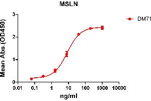 ELISA image for anti-Mesothelin (MSLN) (AA 296-580) antibody (ABIN6964068)