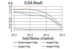 Black line: Control Antigen (100 ng),Purple line: Antigen (10 ng), Blue line: Antigen (50 ng), Red line:Antigen (100 ng) (eIF4EBP1 antibody  (pSer65))