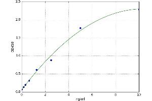 A typical standard curve