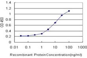 Detection limit for recombinant GST tagged FOXO3A is approximately 0. (FOXO3 antibody  (AA 361-460))
