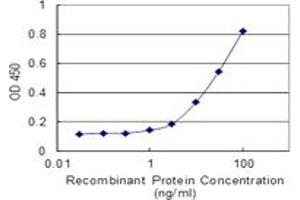 Detection limit for recombinant GST tagged EBF1 is 0. (EBF1 antibody  (AA 1-591))
