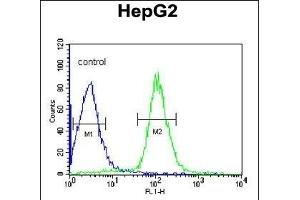 DI Antibody (Center) (ABIN653065 and ABIN2842666) flow cytometric analysis of HepG2 cells (right histogram) comred to a negative control cell (left histogram). (CCDC85B antibody  (AA 69-96))