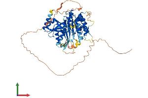 AlphaFold protein structure predicition of Mouse Recombinant Lgsn Protein, UniprotID Q8CIX8 (LGSN Protein (AA 1-563) (His tag))