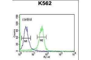 JMJD2B Antibody (N-term) (ABIN653341 and ABIN2842825) flow cytometric analysis of K562 cells (right histogram) compared to a negative control cell (left histogram).
