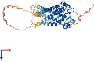 MTCH1 Protein (AA 1-389) (His tag)