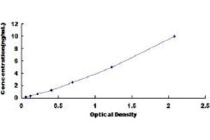 INPP4A ELISA Kit