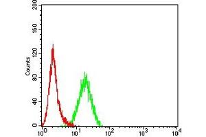Flow cytometric analysis of Hela cells using SMYD2 mouse mAb (green) and negative control (red). (SMYD2A antibody  (AA 99-262))