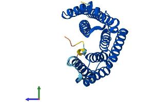 AlphaFold protein structure predicition of Mouse Recombinant Ywhae Protein, UniprotID P62259
