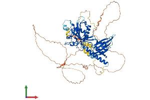 AlphaFold protein structure predicition of Human Recombinant RAP1GAP Protein, UniprotID P47736 (RAP1GAP Protein (AA 1-663) (His tag))