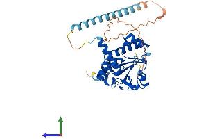 Protein Structure (PS) image for RNA (Guanine-9-) Methyltransferase Domain Containing 3 (RG9MTD3) (AA 1-318) protein (His tag) (ABIN7560817)