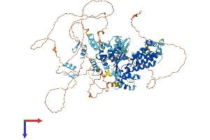 AlphaFold protein structure predicition of Human Recombinant ZNF618 Protein, UniprotID Q5T7W0