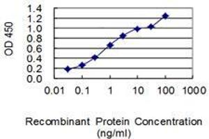Detection limit for recombinant GST tagged GATC is 0. (GATC antibody  (AA 1-136))