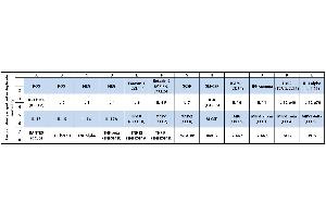 图1为人类炎症阵列C3（ABIN625601）（人类炎症阵列C4）