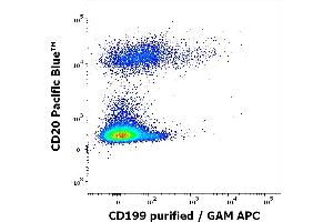 Flow cytometry multicolor surface staining pattern of human lymphocytes using anti-human CD199 (C9Mab-1) purified antibody (concentration in sample 0. (CCR9 antibody)