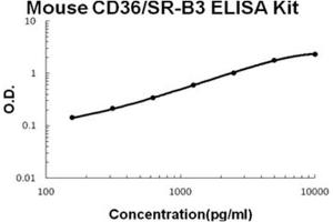 Mouse CD36/SR-B3 Accusignal ELISA Kit Mouse CD36/SR-B3 AccuSignal ELISA Kit standard curve. (CD36 (SR-B3) ELISA Kit)