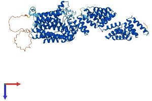 Transmembrane and Tetratricopeptide Repeat Containing 2 (TMTC2) (AA 1-836) protein (His tag)
