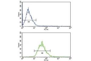 LDLR antibody flow analysis of MCF-7 cells (bottom histogram) compared to a negative control (top histogram). (LDLR antibody  (AA 391-419))