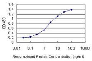 Detection limit for recombinant GST tagged HOXA11 is approximately 0. (Homeobox A11 antibody  (AA 60-166))