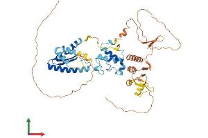 Protein Structure (PS) image for Nuclear Respiratory Factor 1 (NRF1) (AA 1-503) protein (His tag) (ABIN7556259)