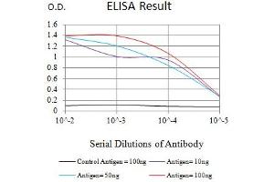 Black line: Control Antigen (100 ng),Purple line: Antigen (10 ng), Blue line: Antigen (50 ng), Red line:Antigen (100 ng) (TIA1 antibody  (AA 1-215))