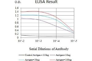 Black line: Control Antigen (100 ng),Purple line: Antigen (10 ng), Blue line: Antigen (50 ng), Red line:Antigen (100 ng) (PIDD antibody  (AA 776-910))